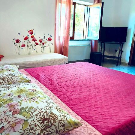Casa Dei Giunchi Ξενοδοχείο Όλμπια Εξωτερικό φωτογραφία